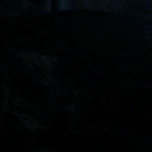 Meet your Posher, Keaira